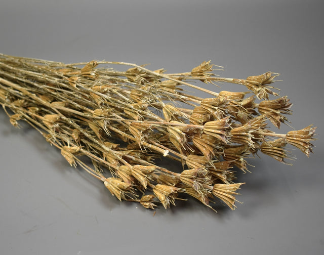 Image for Nigella 100gr cu chiciura