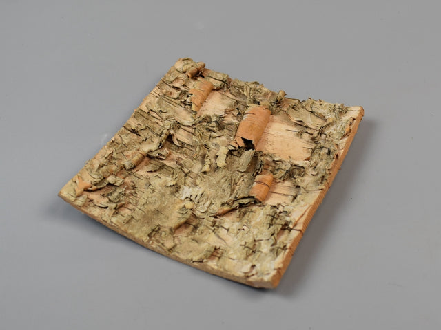 Image for Scoarta de mesteacan 10x10cm S/10