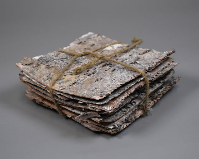 Image for Scoarta de mesteacan 15x15cm chiciura