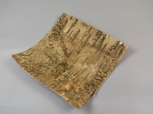 Image for Scoarta mesteacan 20x20cm s/10