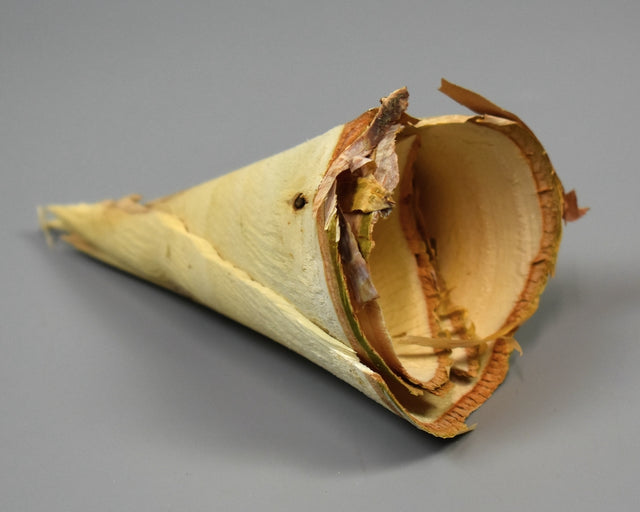 Image for Conuri din mesteacan 8x7cm natur