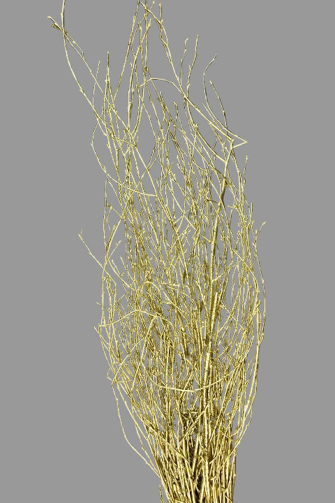 Image for Creanga mesteacan 40cm auriu