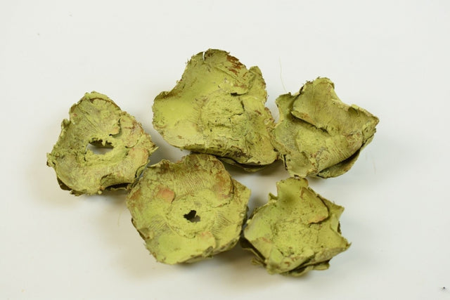 imagine produs Flori de cocos vopsit verde