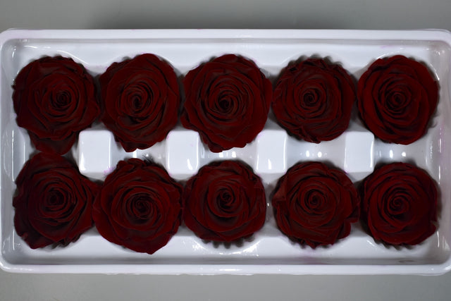 Image for Cap trandafiri criogenati 3-4cm A bordeaux