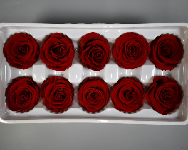 Image for Cap trandafiri criogenati 3-4cm A rosu