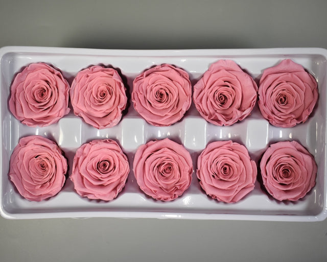 Image for Cap trandafiri criogenati 3-4cm A roz