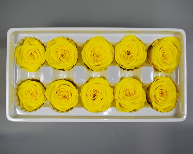 Image for Cap trandafiri criogenati 3-4cm A galben