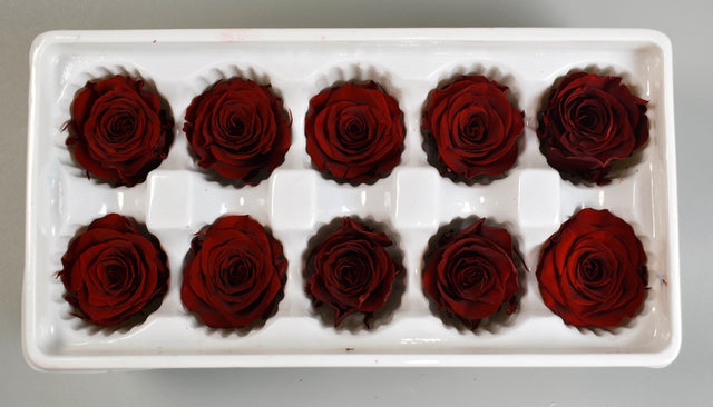 Image for Cap trandafiri criogenati 4cm S/10 bordeaux