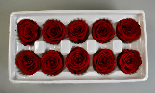 Image for Cap trandafiri criogenati 4cm S/10