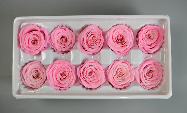 Image for Cap trandafiri criogenati 4cm roz deschis