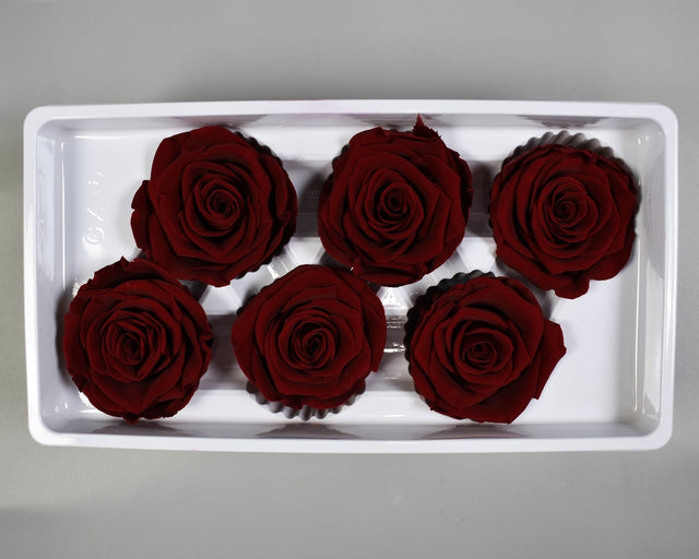 Image for Cap trandafiri criogenati 5-6cm A bordeaux