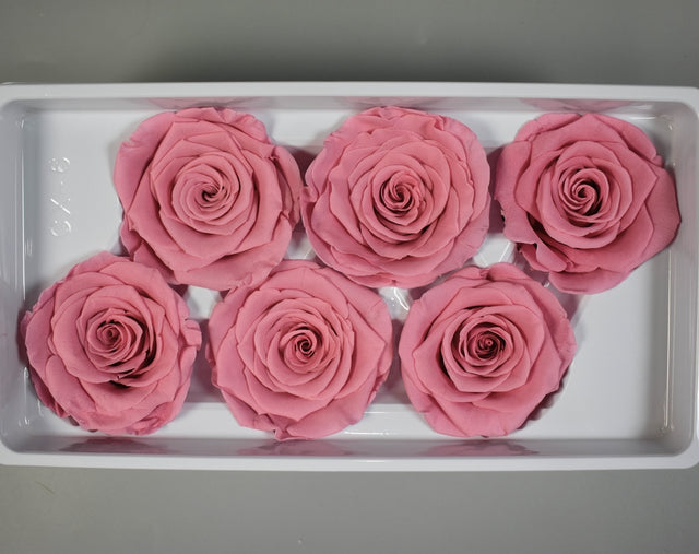 Image for Cap trandafiri criogenati 5-6cm A roz