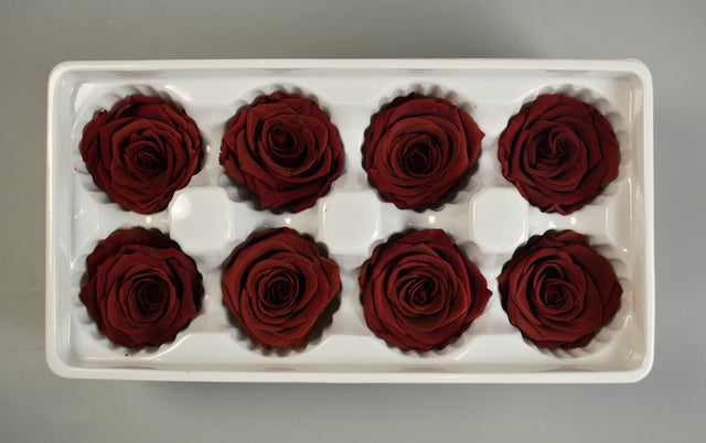 Image for Cap trandafiri criogenati 5cm bordeaux