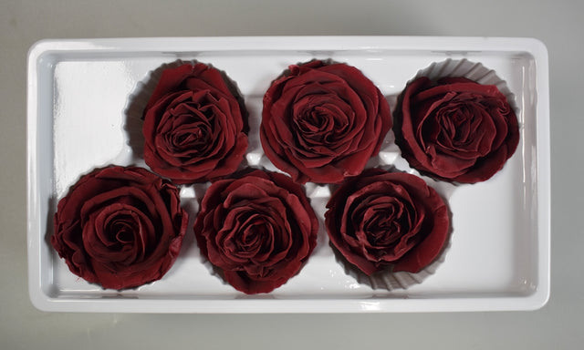 Image for Cap trandafiri criogenati 6cm S/6 bordeaux