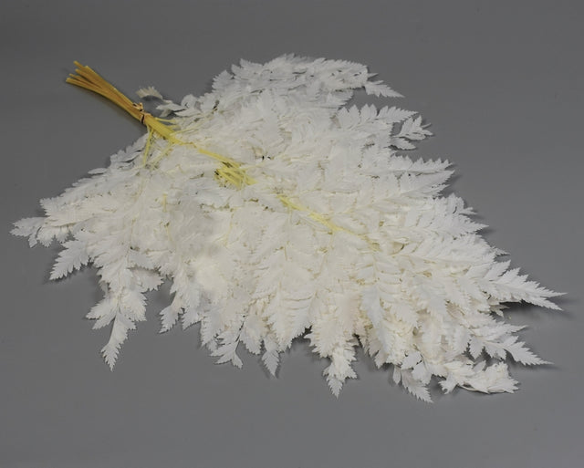 Image for Feriga prep.inalbit