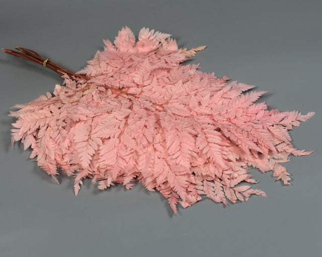 Image for Feriga prep.roz