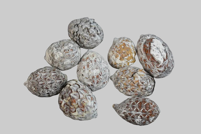 Image for Fructe de palmier cu chiciura