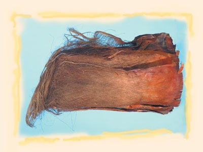 Image for Scoarta de palmier extra natur