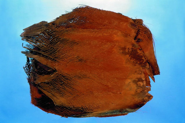 Image for Scoarta de palmier natur