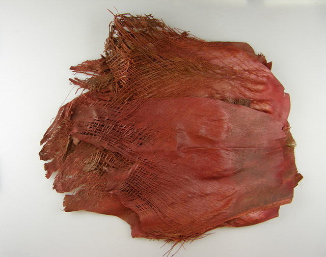 Image for Scoarta de palmier rosu