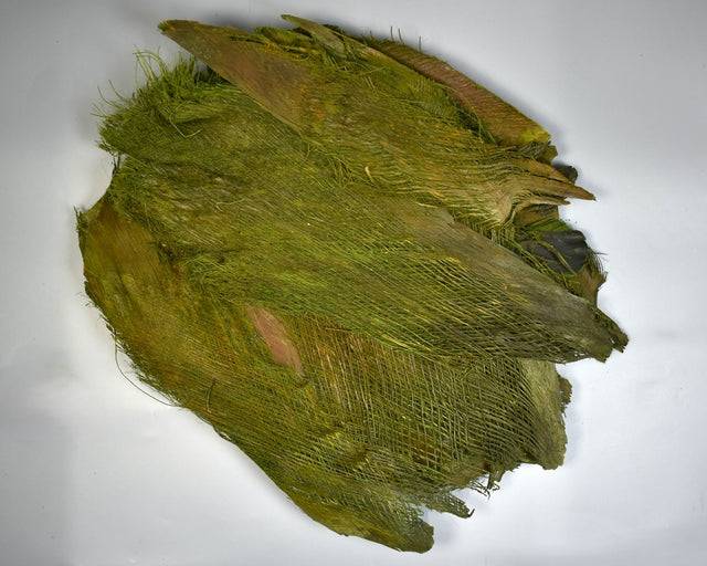 Image for Scoarta de palmier verde deschis