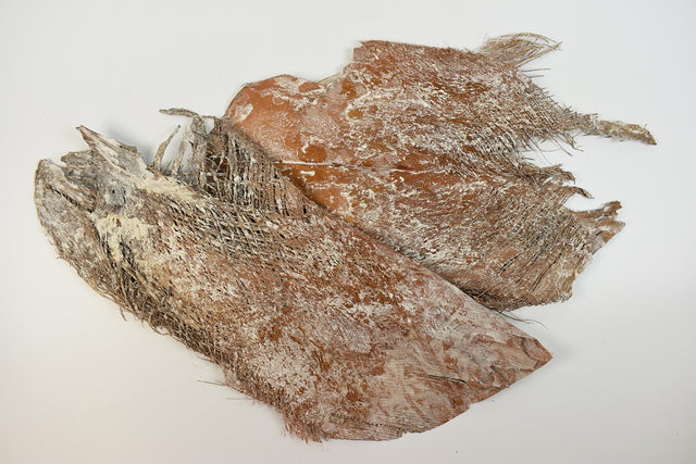 Image for Scoarta de palmier cu chiciura