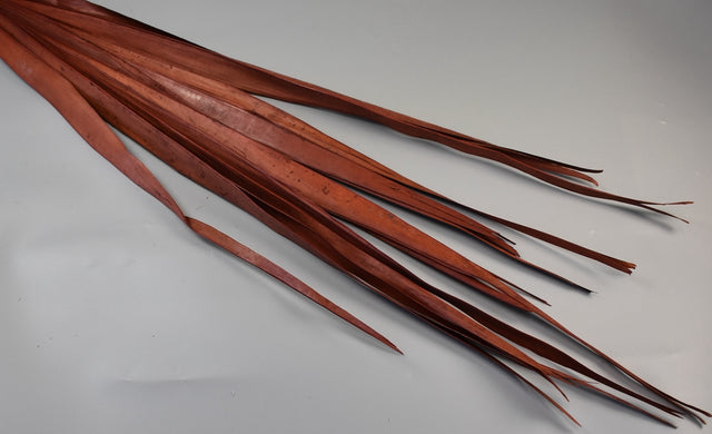 Image for Frunza palmier lung maro