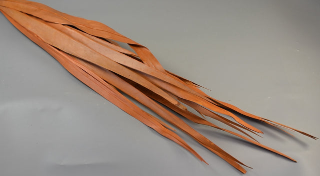 Image for Frunza palmier lung portocaliu