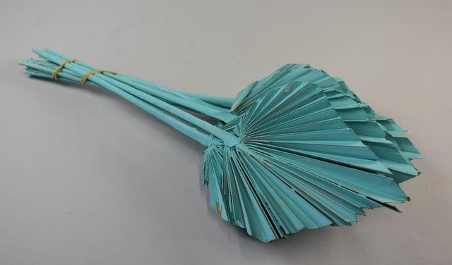 Image for Frunza palmier mediu vopsit aqua