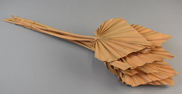 Image for Frunza palmier mediu vopsit piersica