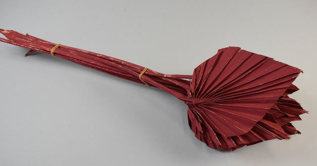 Image for Frunza palmier mediu vopsit bordeaux