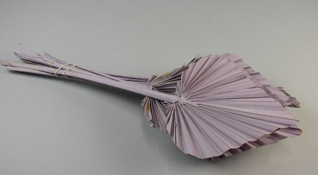 Image for Frunza palmier mediu vopsit mov