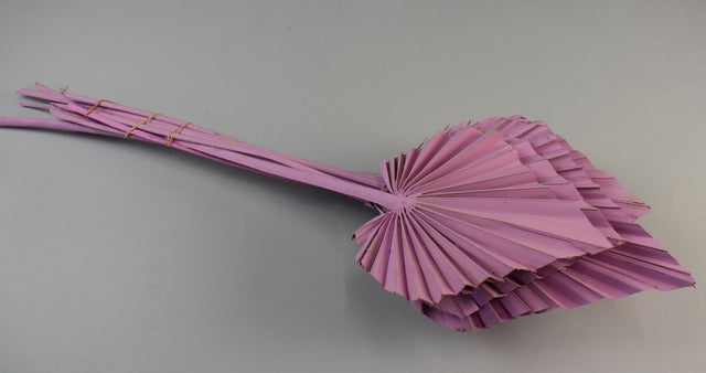 Image for Frunza palmier mediu vopsit nalba