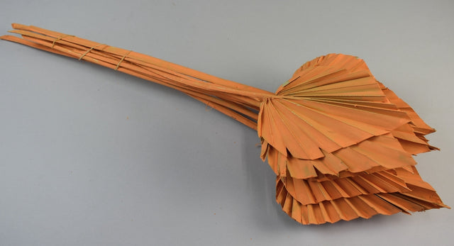 Image for Frunza palmier mediu vopsit portocaliu