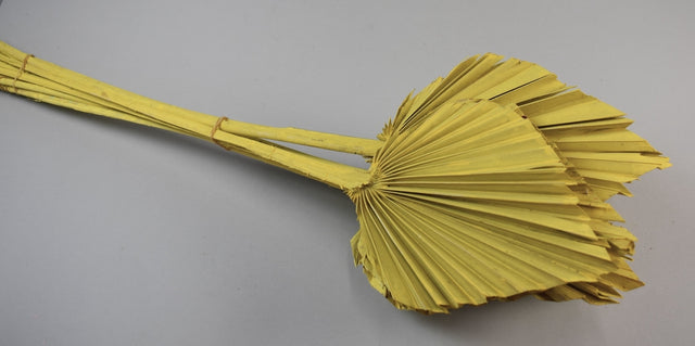 Image for Frunza palmier mediu vopsit galben