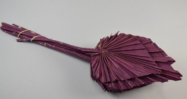 Image for Frunza palmier mediu vopsit mure