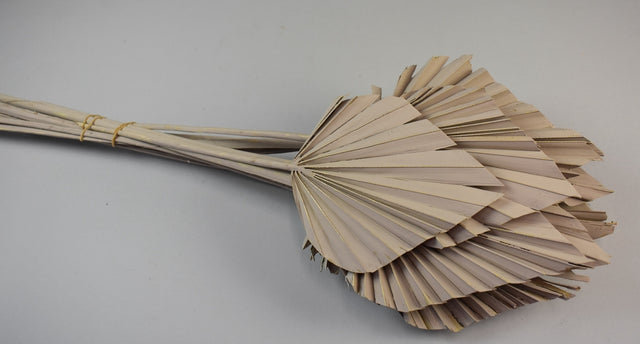 Image for Frunza palmier mediu vopsit gri