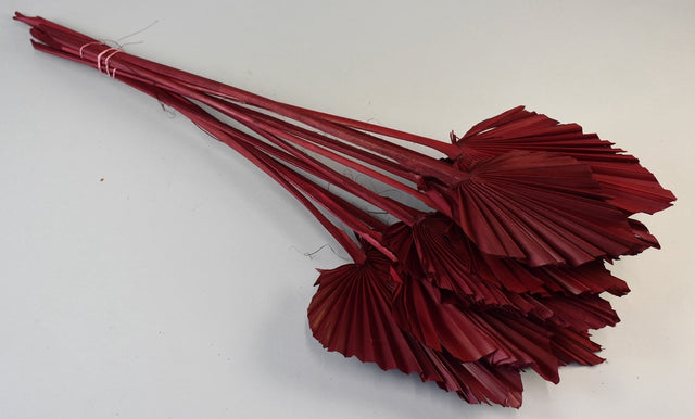 Image for Frunza palmier mediu rosu