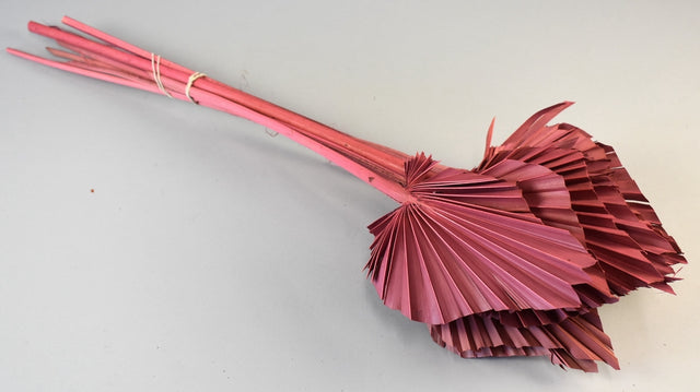 Image for Frunza palmier mediu roz