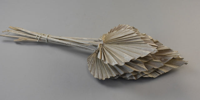 Image for Frunza palmier mediu cu chiciura