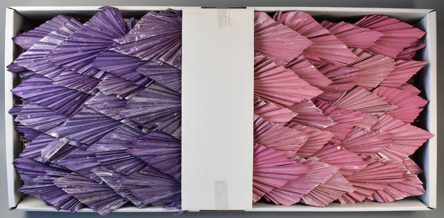 Image for Frunza palmier mediu cu chiciura roz/mov