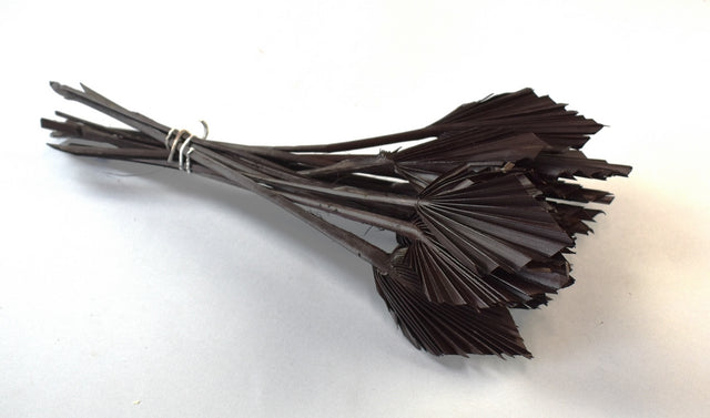 Image for Frunza palmier mini maro