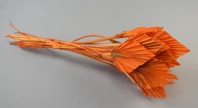 Image for Frunza palmier mini inalbit portocaliu