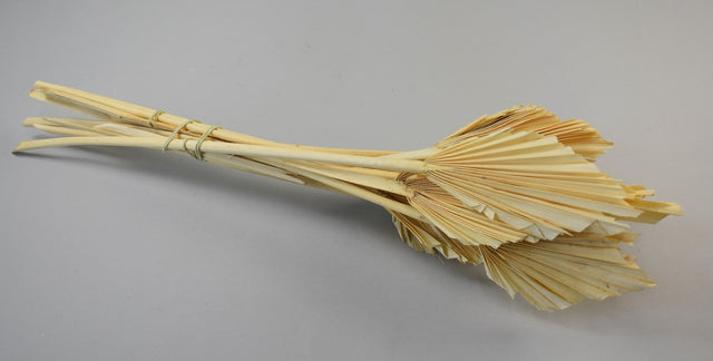 Image for Frunza palmier mini inalbit