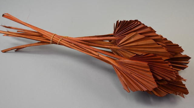 Image for Frunza palmier mini portocaliu