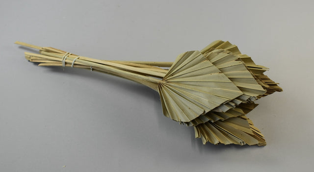 Image for Frunza palmier mini natur