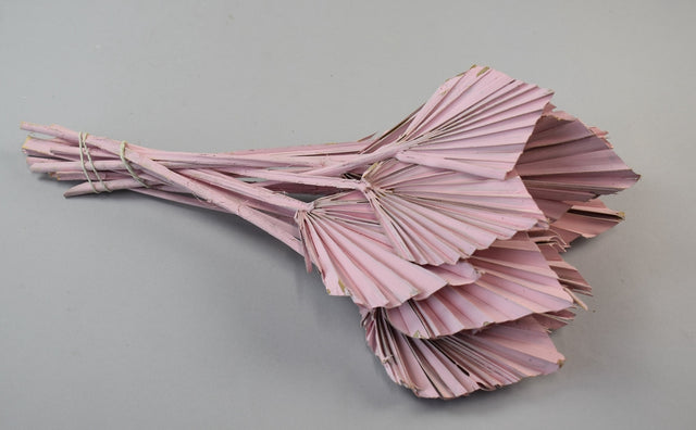 Image for Frunza palmier mini roz