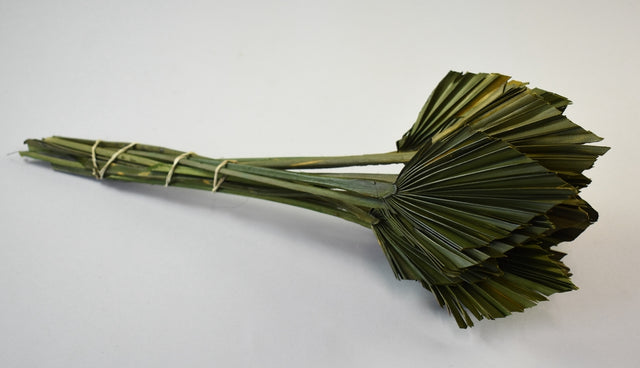 Image for Frunza palmier mini verde inchis