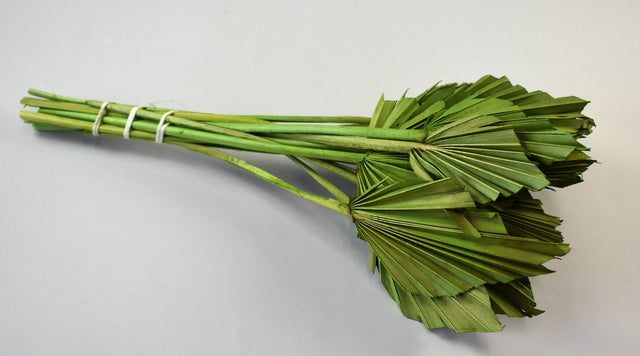 Image for Frunza palmier mini verde deschis