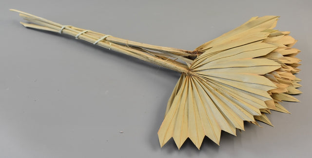 Image for Frunza palmier soare mini natur